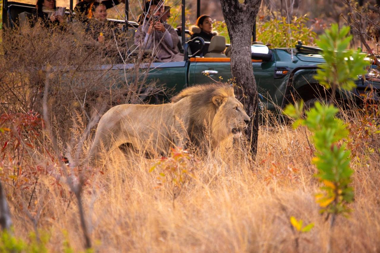 Nungubane Game Lodge Reserva de Welgevonden Exterior foto